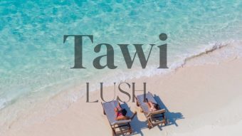 Tawi Lush